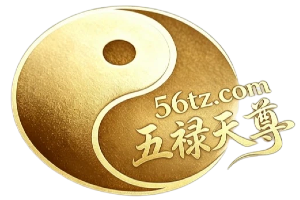 My WordPress
